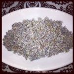 Lavender Buds